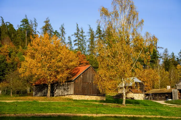 A barn in a field with trees in the background