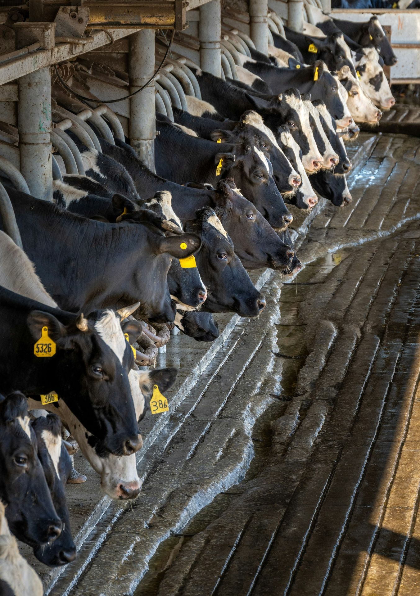 Batteriespeicher in der Landwirtschaft